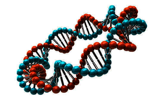 magnerot tablety - magnezium s kyselinou orotovou